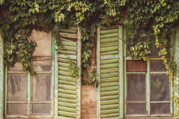 découvrez notre gamme de shutters, des volets intérieurs élégants pour habiller vos fenêtres, réguler la lumière et améliorer l’isolation de votre maison. idéal pour un style moderne ou classique.