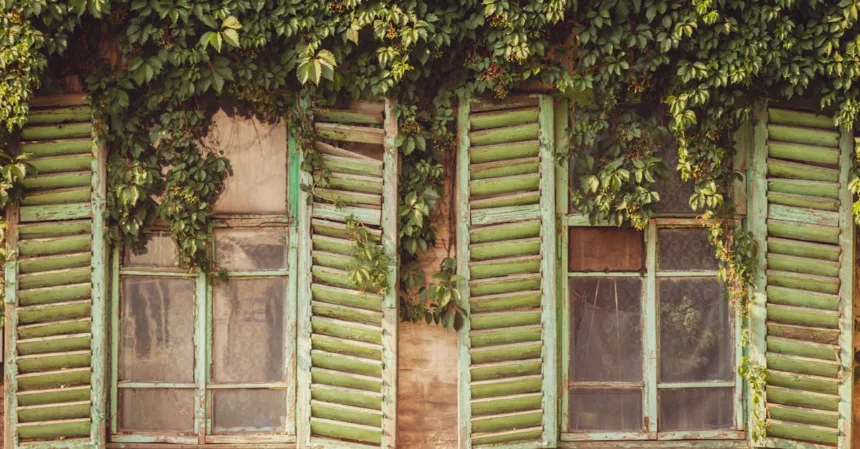 découvrez notre gamme de shutters, des volets intérieurs élégants pour habiller vos fenêtres, réguler la lumière et améliorer l’isolation de votre maison. idéal pour un style moderne ou classique.