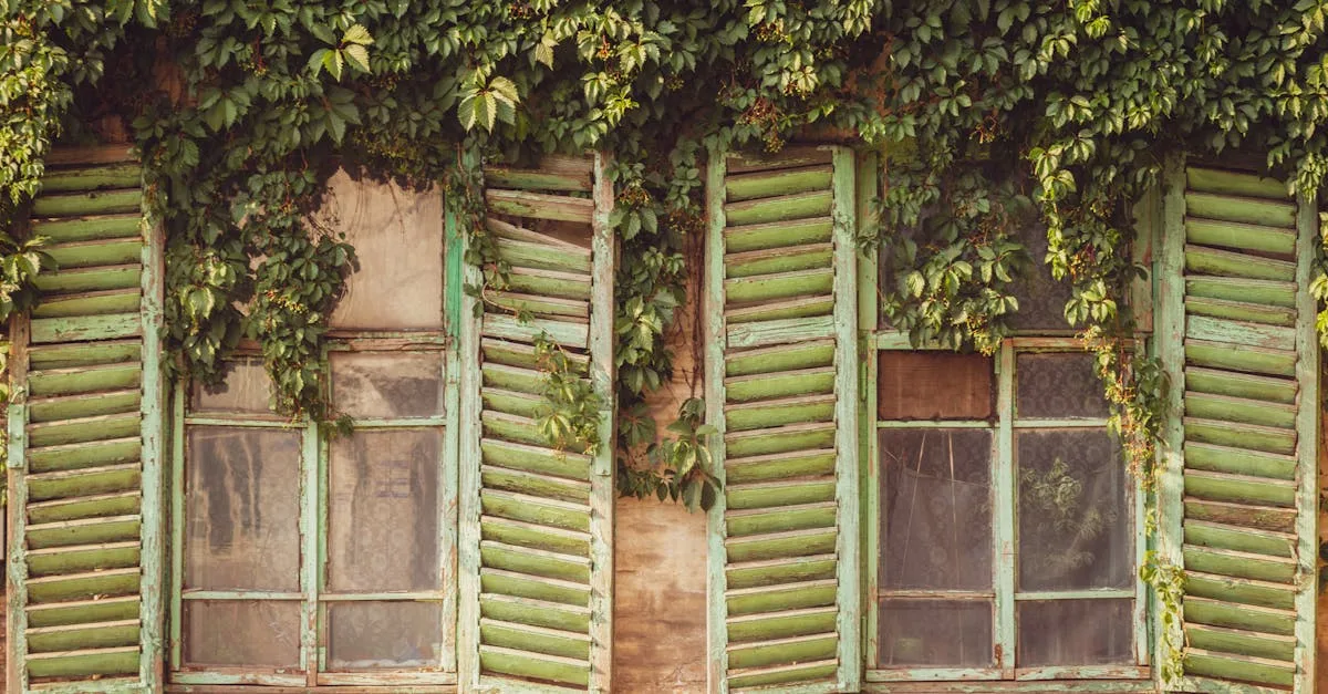 découvrez notre gamme de shutters, des volets intérieurs élégants pour habiller vos fenêtres, réguler la lumière et améliorer l’isolation de votre maison. idéal pour un style moderne ou classique.