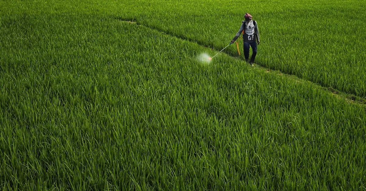 découvrez l'efficacité de l'herbicide adblue pour contrôler les mauvaises herbes et protéger vos cultures de manière optimale.
