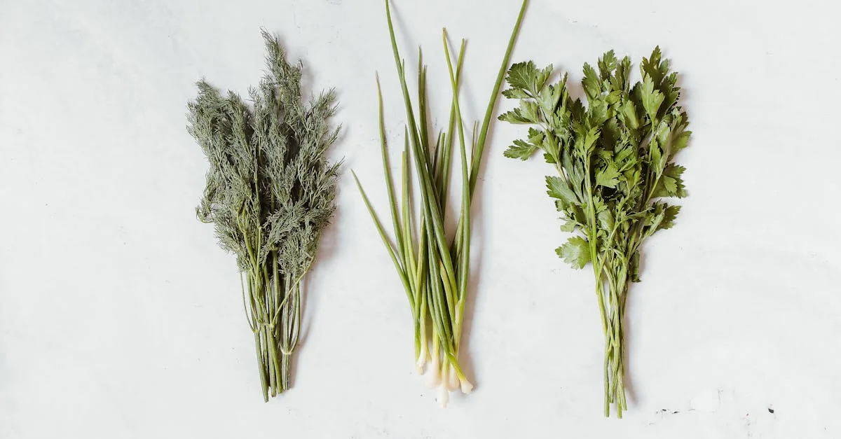 découvrez l'anti-waste cooking : des astuces et recettes pour limiter le gaspillage alimentaire, cuisiner malin et valoriser vos restes en plats savoureux et éco-responsables.