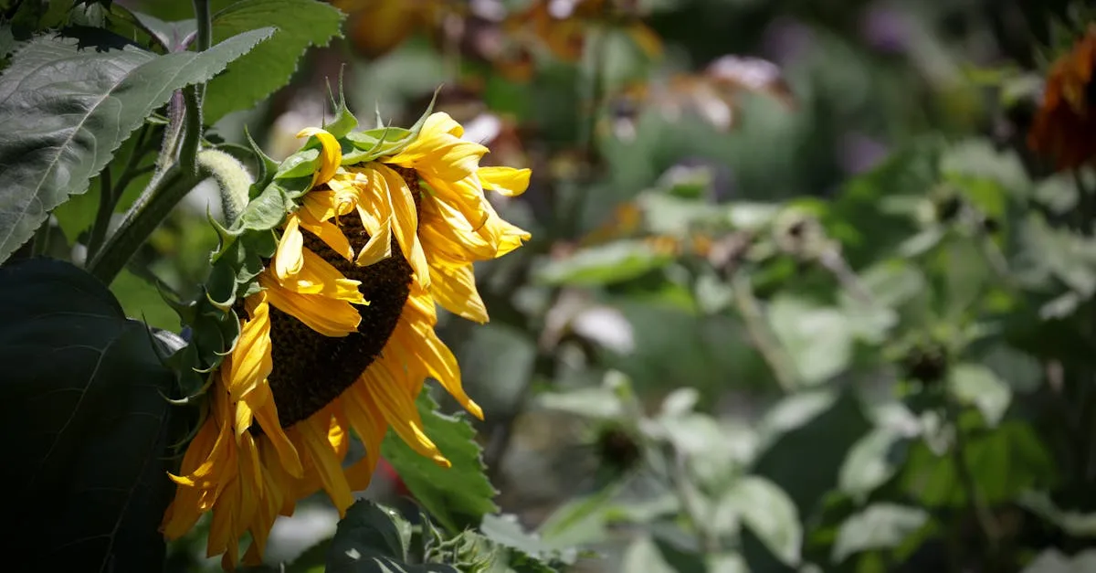 participez à notre forum de jardinage pour échanger astuces, conseils et expériences avec une communauté passionnée. jardinez mieux ensemble !
