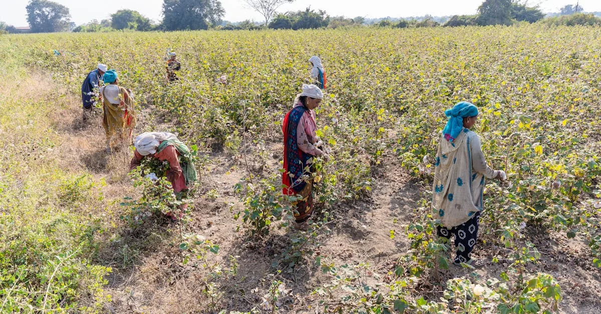 découvrez les avantages des engrais naturels pour votre jardin : une solution écologique, économique et efficace pour favoriser la croissance saine de vos plantes tout en respectant l'environnement.
