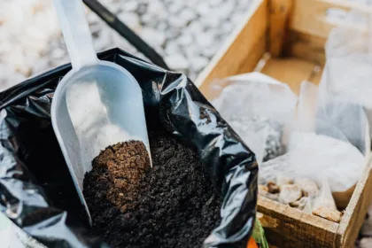 découvrez les avantages des engrais naturels pour votre jardin ! améliorez la santé de vos plantes et enrichissez votre sol de façon écologique et durable grâce à des fertilisants respectueux de l’environnement.