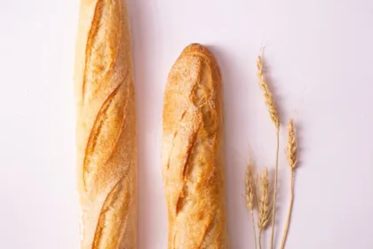 découvrez notre livre de recettes traditionnel français, riche en saveurs authentiques et astuces culinaires pour maîtriser la cuisine française classique.