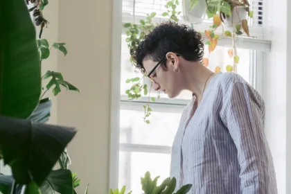 découvrez comment prendre soin de votre philodendron avec nos conseils simples pour l'arrosage, la lumière, et l'entretien afin de garder une plante saine et luxuriante.