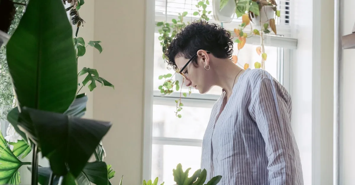 découvrez comment prendre soin de votre philodendron avec nos conseils simples pour l'arrosage, la lumière, et l'entretien afin de garder une plante saine et luxuriante.