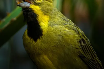 plateforme de recherche ancestrale pour explorer et découvrir vos origines familiales en profondeur.