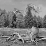 guide complet de randonnée pour tous les niveaux : astuces, itinéraires et conseils pour profiter pleinement de vos aventures en pleine nature.