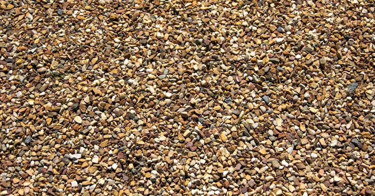 découvrez comment le gravier décoratif peut transformer votre aménagement paysager en ajoutant texture, couleur et élégance à vos espaces extérieurs.