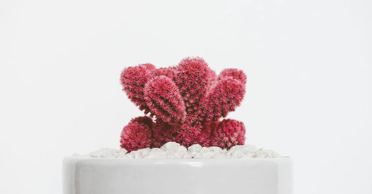 découvrez lyctus, votre source d'informations, d'actualités et de ressources variées pour enrichir vos connaissances et rester connecté avec le monde.