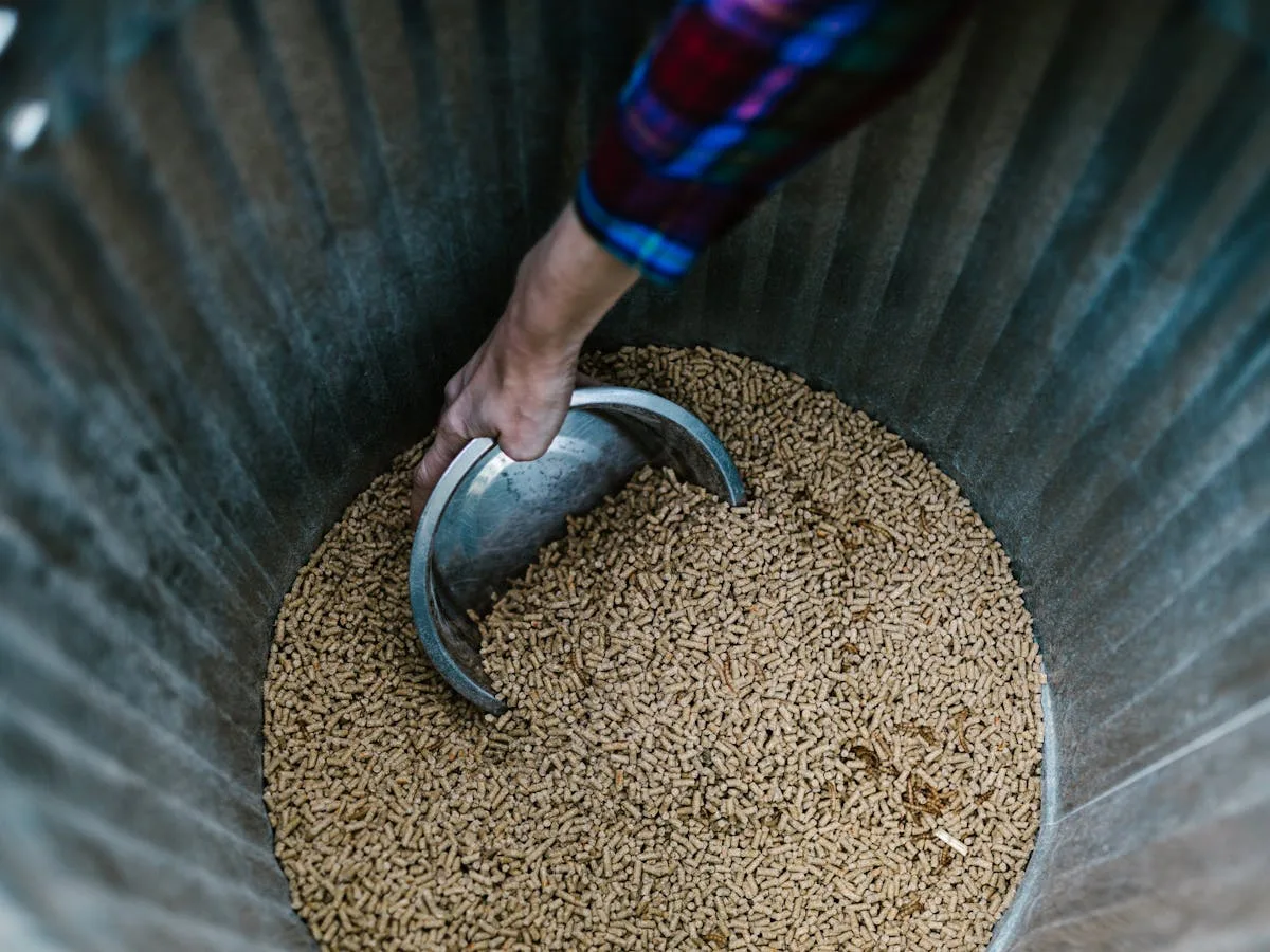 pellets bois de chauffage