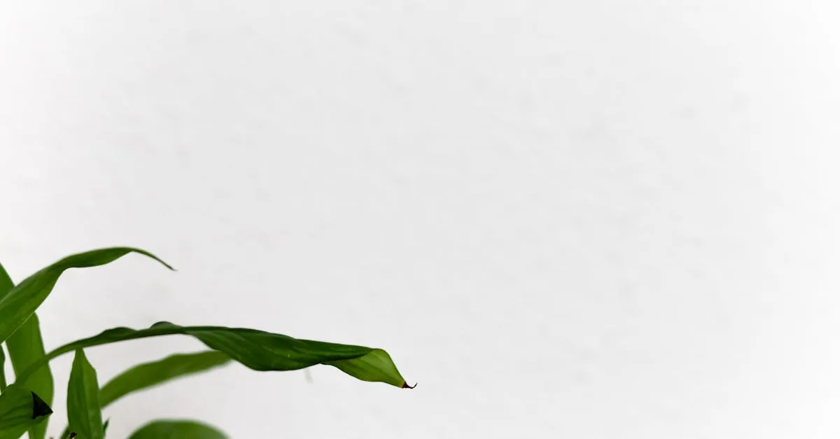 découvrez l'importance de la fiabilité dans tous les domaines pour garantir performance, sécurité et satisfaction durable.