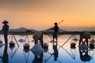 découvrez les réglementations et interdictions concernant les piscines au sel pour assurer sécurité et conformité.