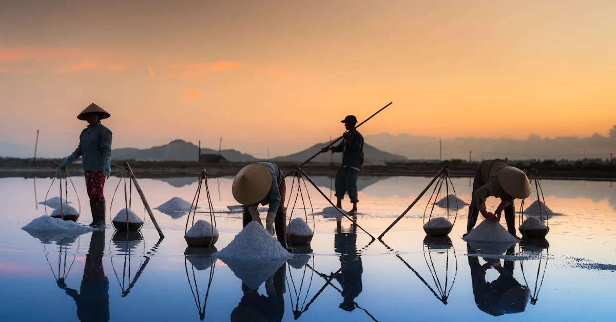 découvrez les réglementations et interdictions concernant les piscines au sel pour assurer sécurité et conformité.