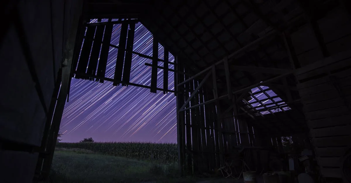acquisition de fermes abandonnées : opportunités d'investissement, conseils pratiques et démarches pour restaurer et valoriser des terrains agricoles délaissés.
