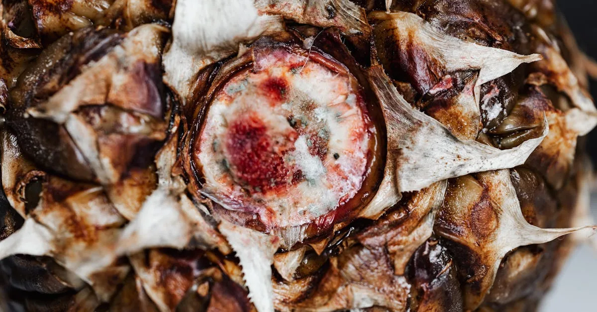 découvrez tout ce qu'il faut savoir sur la pourriture sèche (dry rot), un champignon destructeur qui endommage le bois. apprenez à identifier, prévenir et traiter ce problème pour protéger votre maison.