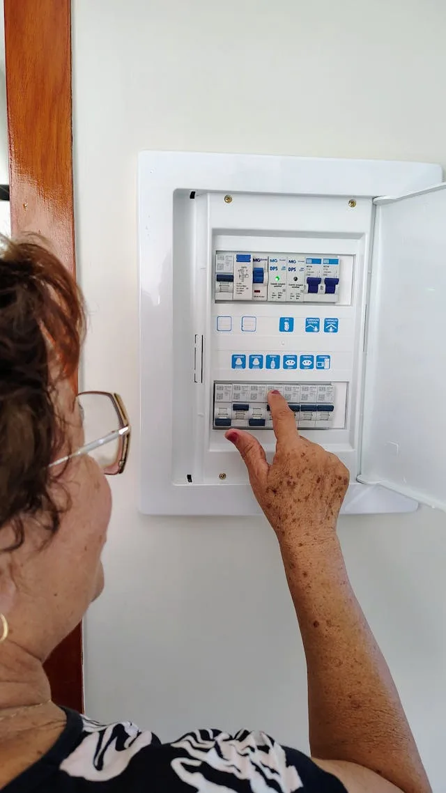 dijoncteur électrique legrand