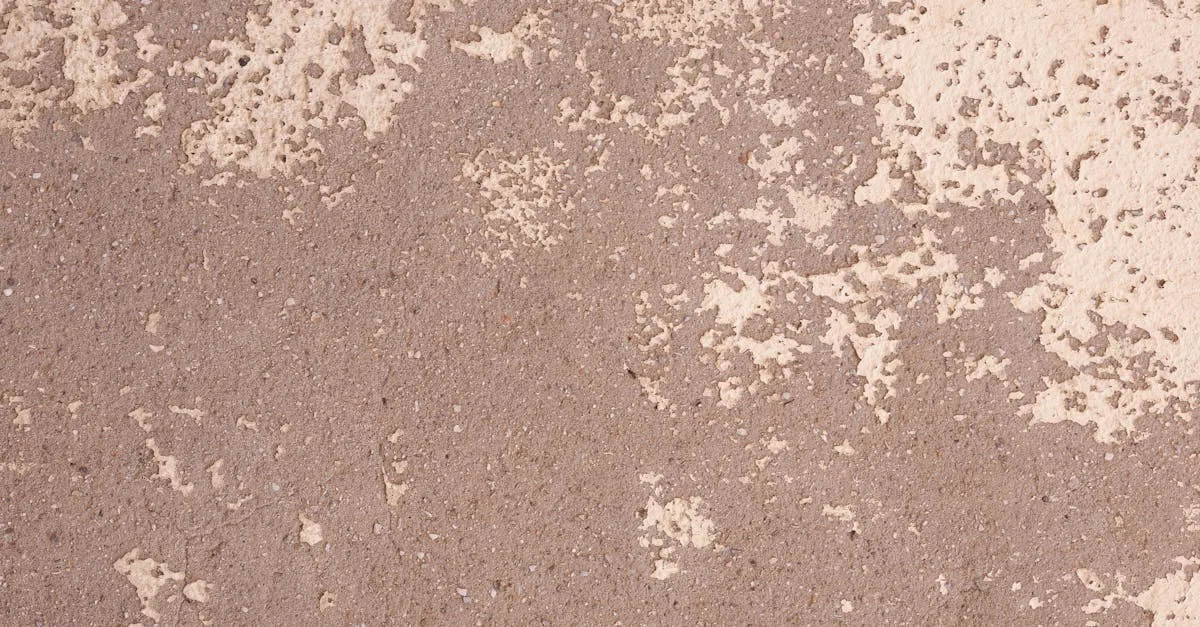 peinture extérieure pour béton : protégez et embellissez vos surfaces en béton avec des peintures durables et résistantes aux intempéries.
