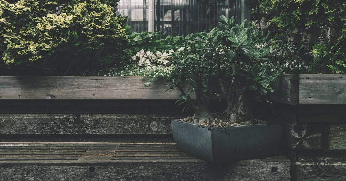découvrez comment bénéficier des déductions fiscales liées à l'entretien et à l'aménagement de votre jardin pour réduire vos impôts.