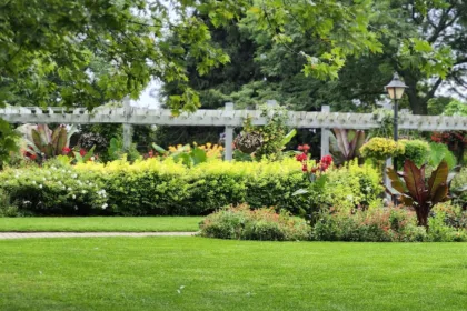 découvrez comment déduire fiscalement vos dépenses de jardinage grâce à la déduction fiscale pour jardin. maximisez vos économies d'impôts en aménageant votre espace extérieur.