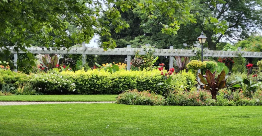 découvrez comment déduire fiscalement vos dépenses de jardinage grâce à la déduction fiscale pour jardin. maximisez vos économies d'impôts en aménageant votre espace extérieur.
