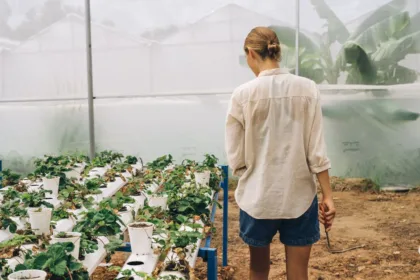 découvrez l'aquaponie, une méthode innovante combinant aquaculture et culture hydroponique pour un jardinage écologique et durable.