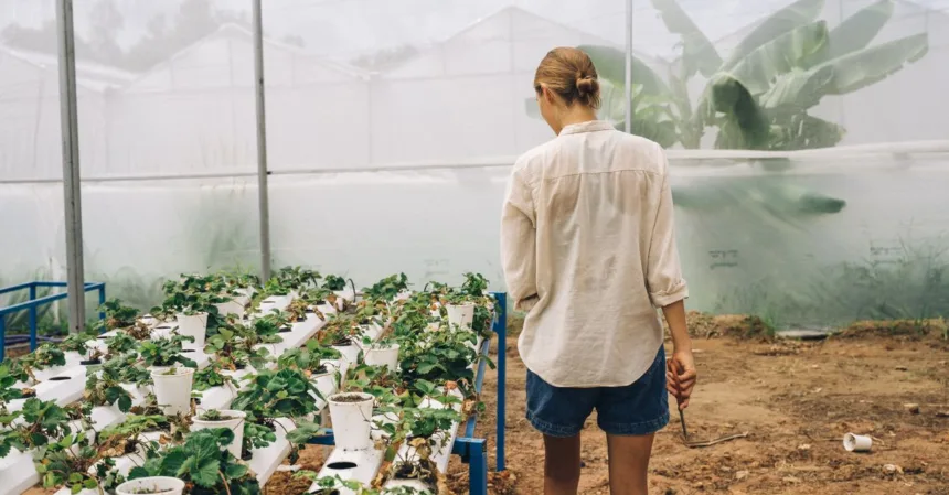 découvrez l'aquaponie, une méthode innovante combinant aquaculture et culture hydroponique pour un jardinage écologique et durable.