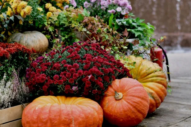 conseils essentiels pour la plantation en automne : préparez votre jardin pour la saison froide avec des astuces sur les meilleures plantes, techniques et soins.