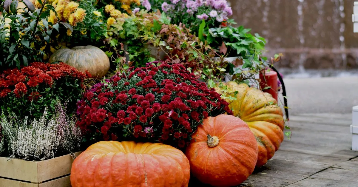 conseils essentiels pour la plantation en automne : préparez votre jardin pour la saison froide avec des astuces sur les meilleures plantes, techniques et soins.