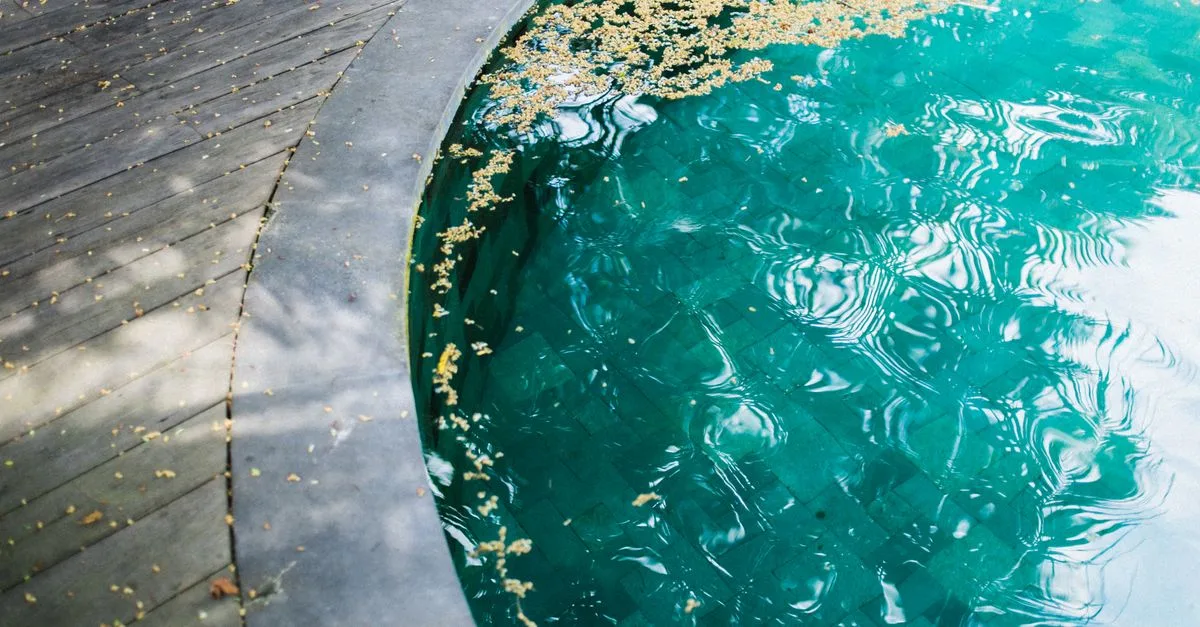 découvrez clear pool, la solution innovante pour une piscine propre et cristalline toute l'année. facile à utiliser et efficace, elle garantit une eau parfaitement claire et saine.