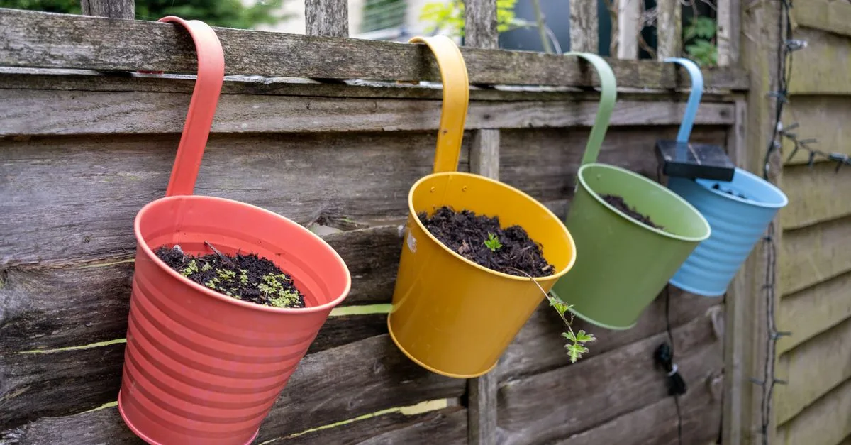 découvrez les astuces et conseils pour réussir le jardinage en container, idéal pour cultiver vos plantes même dans un espace réduit.