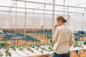 découvrez les pratiques d'agriculture durable pour préserver l'environnement, promouvoir la biodiversité et garantir une production alimentaire saine et responsable.