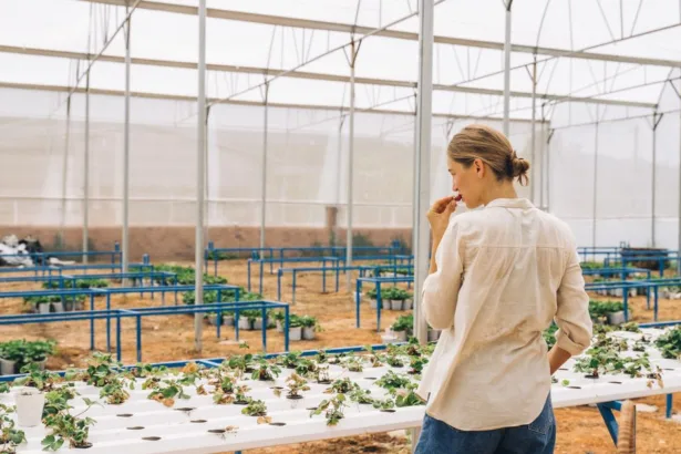 découvrez les pratiques d'agriculture durable pour préserver l'environnement, promouvoir la biodiversité et garantir une production alimentaire saine et responsable.