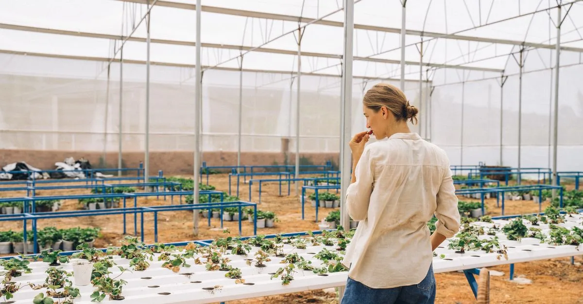 découvrez les pratiques d'agriculture durable pour préserver l'environnement, promouvoir la biodiversité et garantir une production alimentaire saine et responsable.