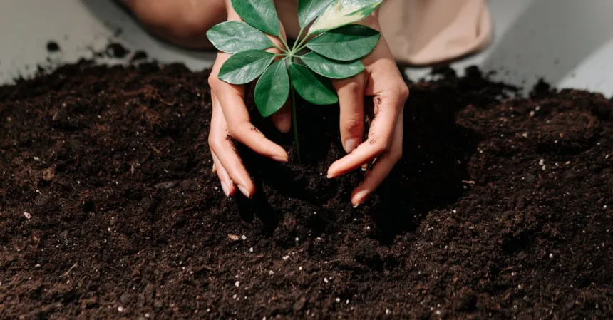 découvrez des astuces de jardinage économes en eau pour un jardin luxuriant tout en préservant les ressources naturelles.