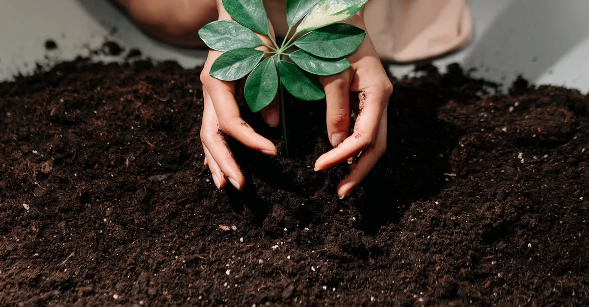 découvrez des astuces de jardinage économes en eau pour un jardin luxuriant tout en préservant les ressources naturelles.
