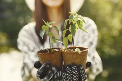 découvrez des conseils de jardinage pratiques et faciles à appliquer pour avoir un jardin sain et florissant toute l'année.
