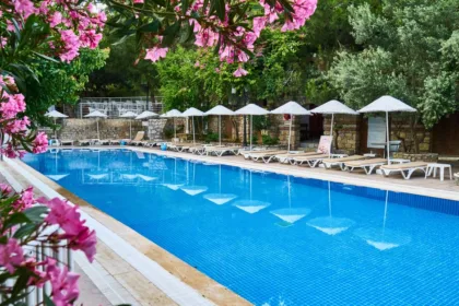 découvrez quelles arbres éviter de planter près d'une piscine pour préserver la propreté de l'eau et la sécurité des alentours.