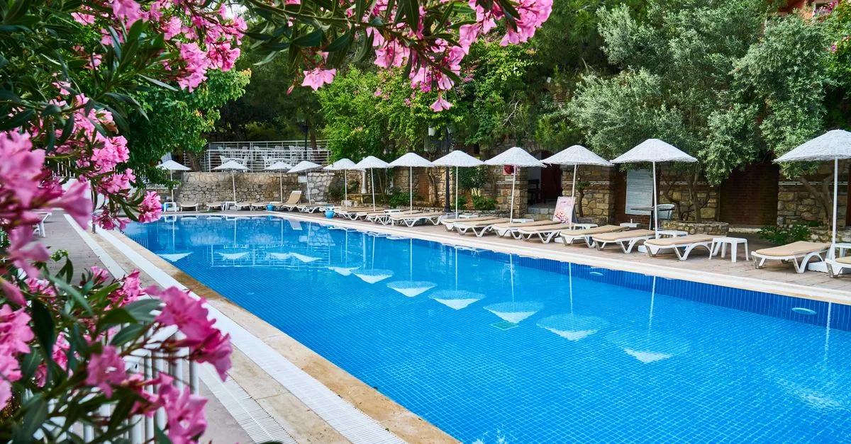 découvrez quelles arbres éviter de planter près d'une piscine pour préserver la propreté de l'eau et la sécurité des alentours.