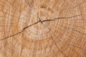 découvrez l'épaisseur idéale pour l'isolation en fibre de bois afin d'optimiser la performance énergétique et le confort de votre habitation.