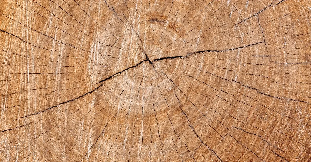 découvrez l'épaisseur idéale pour l'isolation en fibre de bois afin d'optimiser la performance énergétique et le confort de votre habitation.