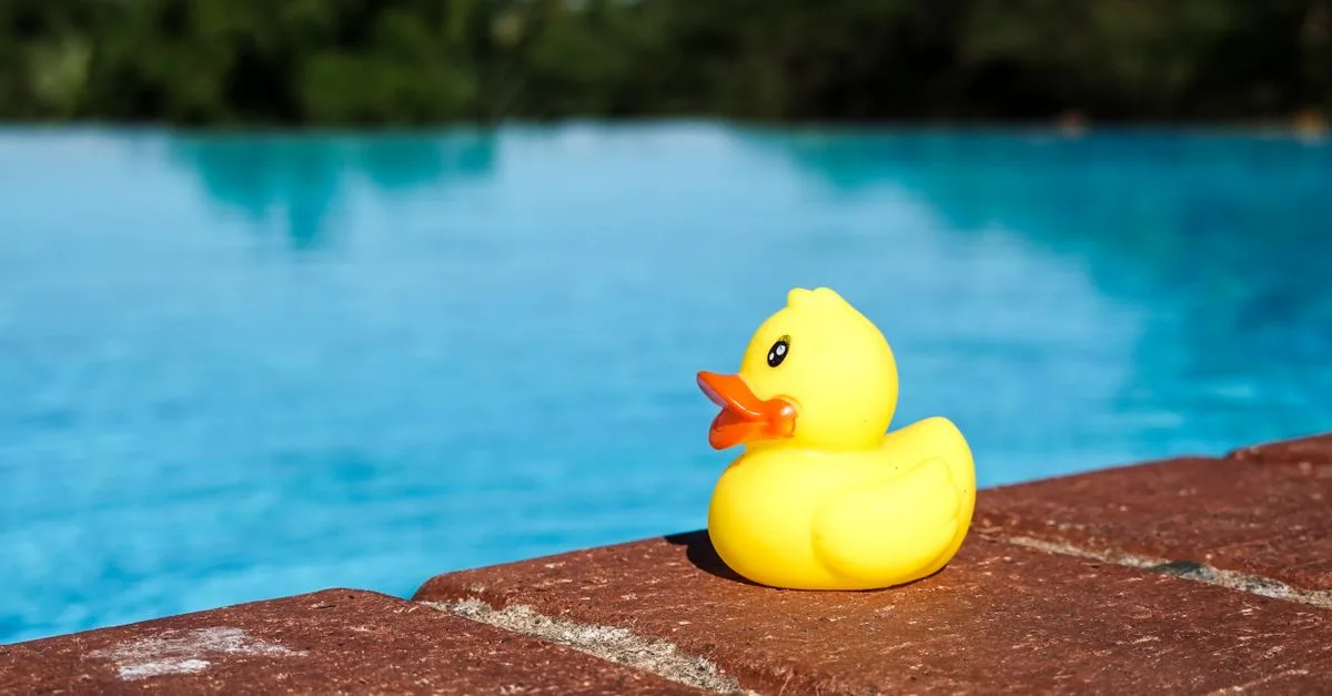 découvrez les réglementations essentielles pour sécuriser, entretenir et utiliser votre piscine conformément à la législation en vigueur.